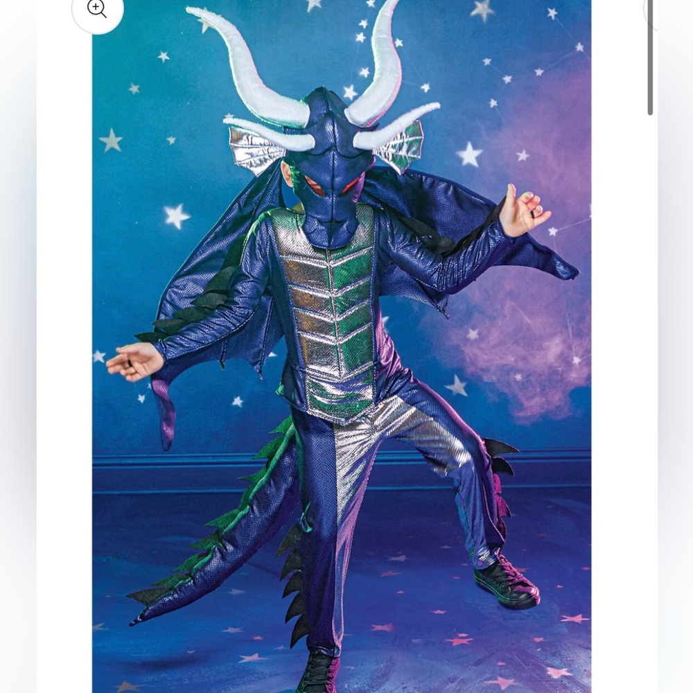 Dragon Costume-NWT